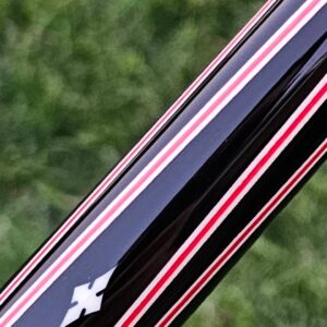 Ariel Carmeli Custom Cue Hoppe Style