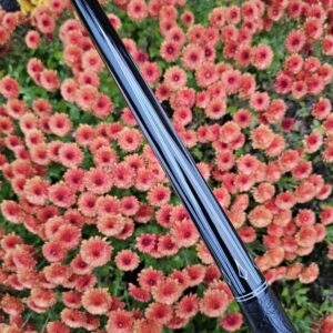 Ott All Ebony Custom Cue - Image 57