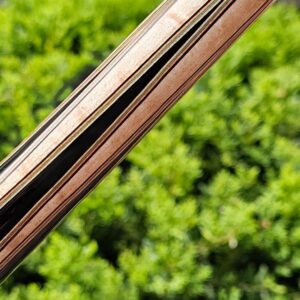 Ariel Carmeli Six Pointer - Image 6