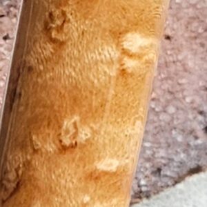 Gus Szamboti Custom Cue - Image 13