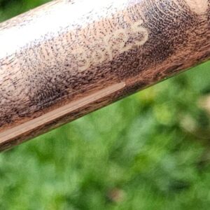 Meucci Custom Cue - Image 27