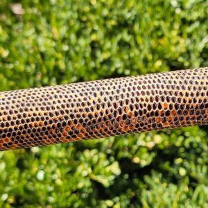 Phillippi Custom Cue - Image 19